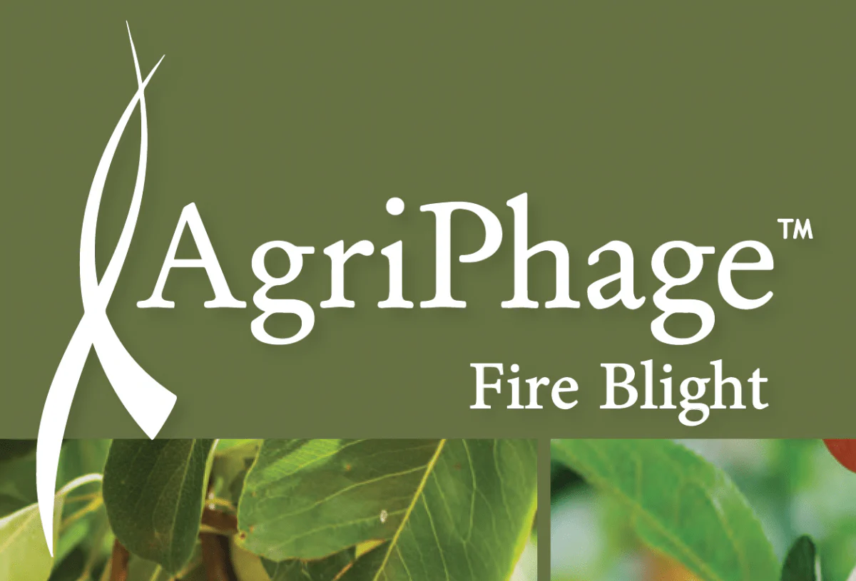 AgriPhage - Fireblight - 1 Quart - Image 2