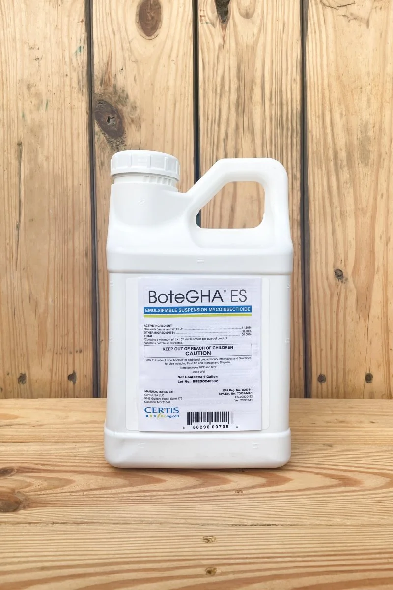 BoteGHA ES - 1 Gallon