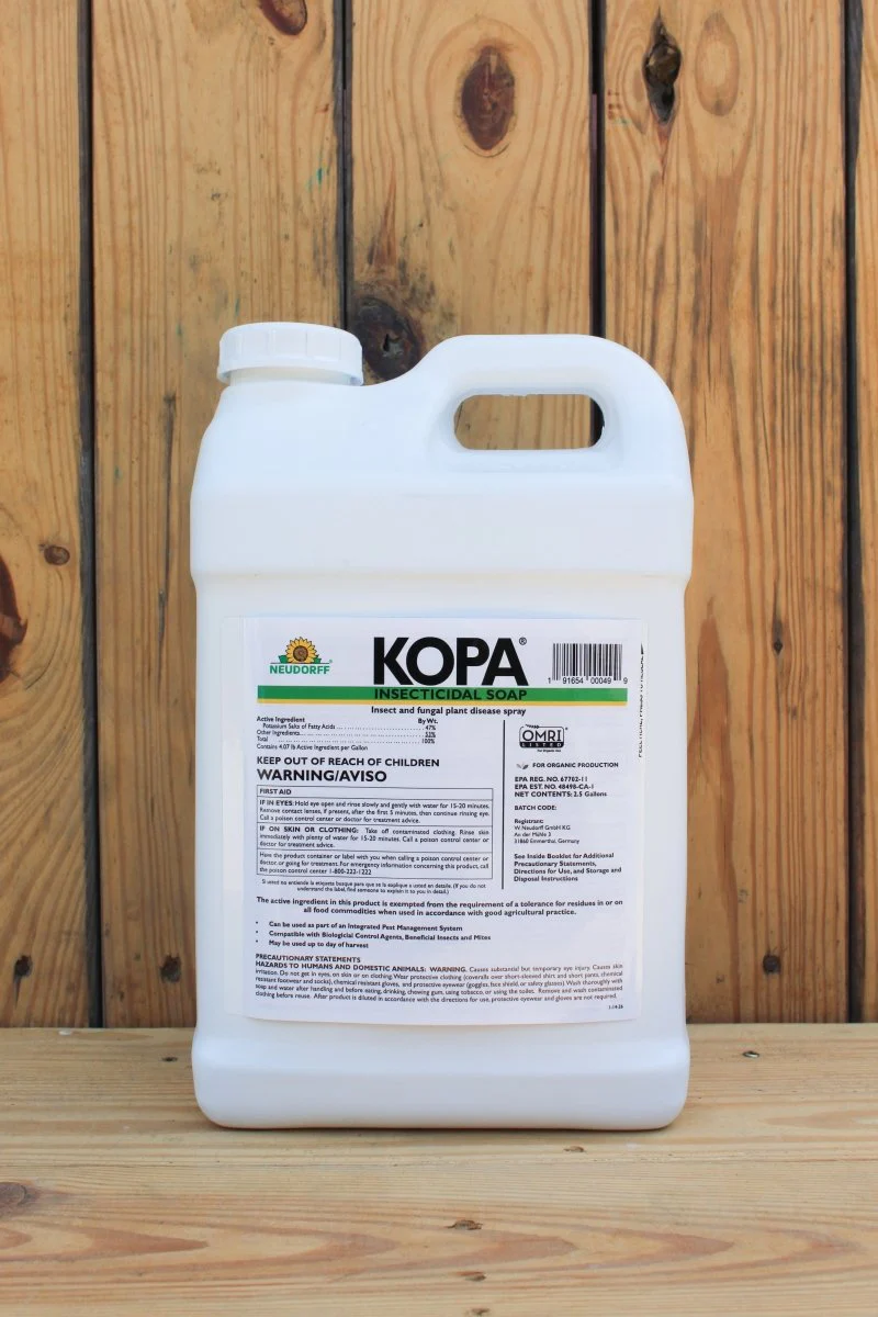 Kopa Insecticidal Soap - 2.5 Gallon