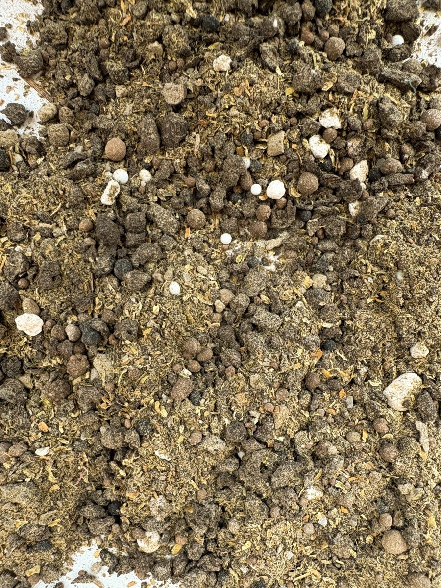 Seven Springs High Tunnel Blend Natural Fertilizer (4-1-4) - 40 lbs - Image 3
