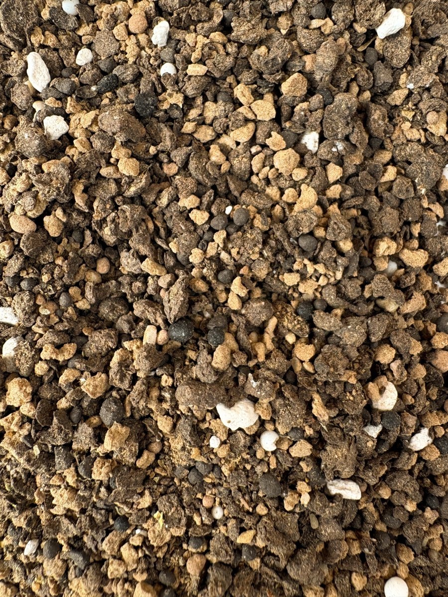 Seven Springs Tree, Vine and Berry Natural Fertilizer (4-5-4) - 40 lbs - Image 3