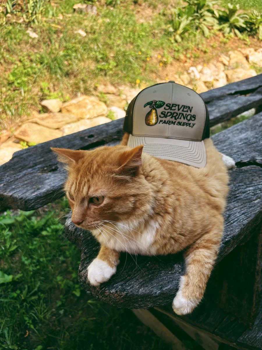Seven Springs Trucker Hat - Image 4