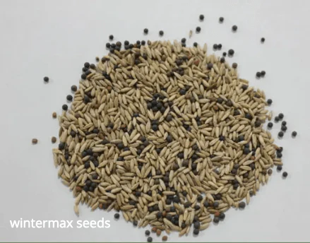 WinterMax CC3 OG - Rye/Vetch/Radish - 50 lb Bag - Image 3